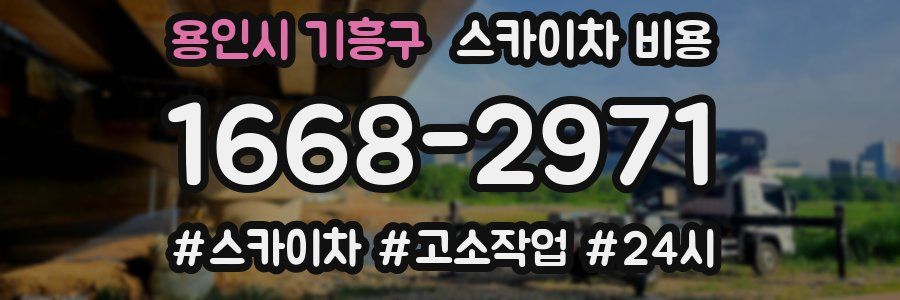 용인시 기흥구 스카이차 비용