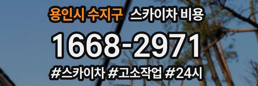 용인시 수지구 스카이차 비용