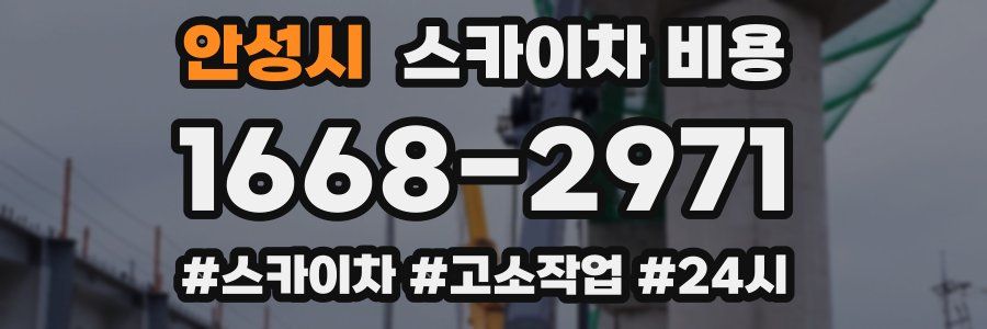 안성시 스카이차 비용