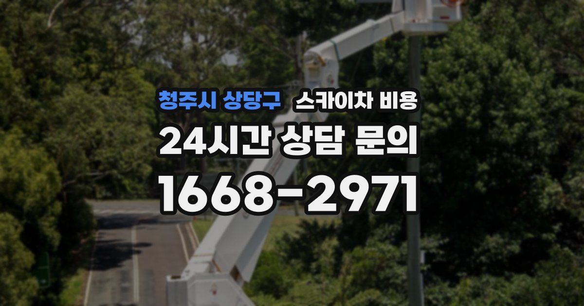 청주시 상당구 스카이차 비용