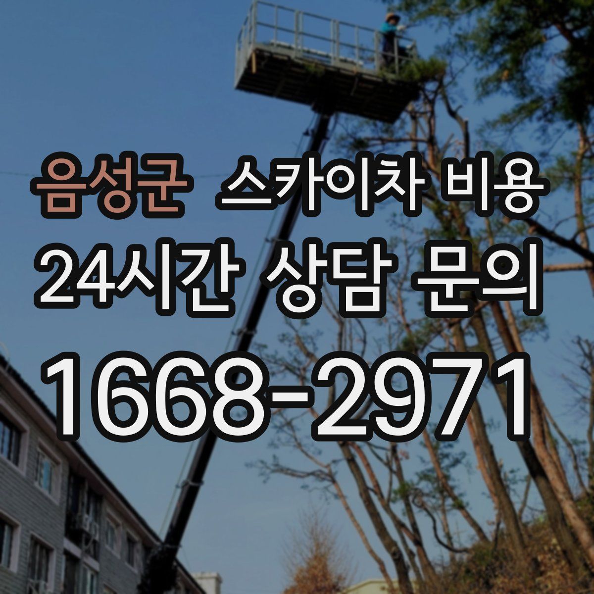 음성군 스카이차 비용