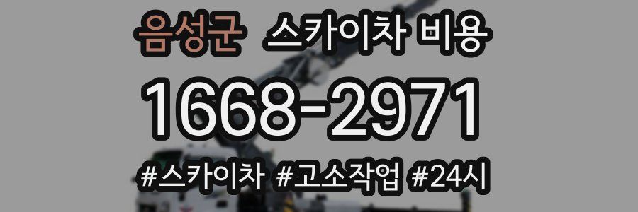 음성군 스카이차 비용