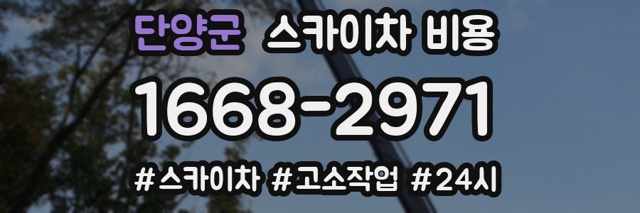 단양군 스카이차 비용