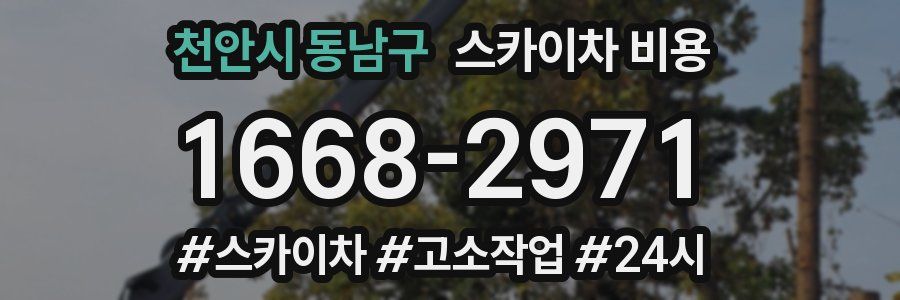 천안시 동남구 스카이차 비용