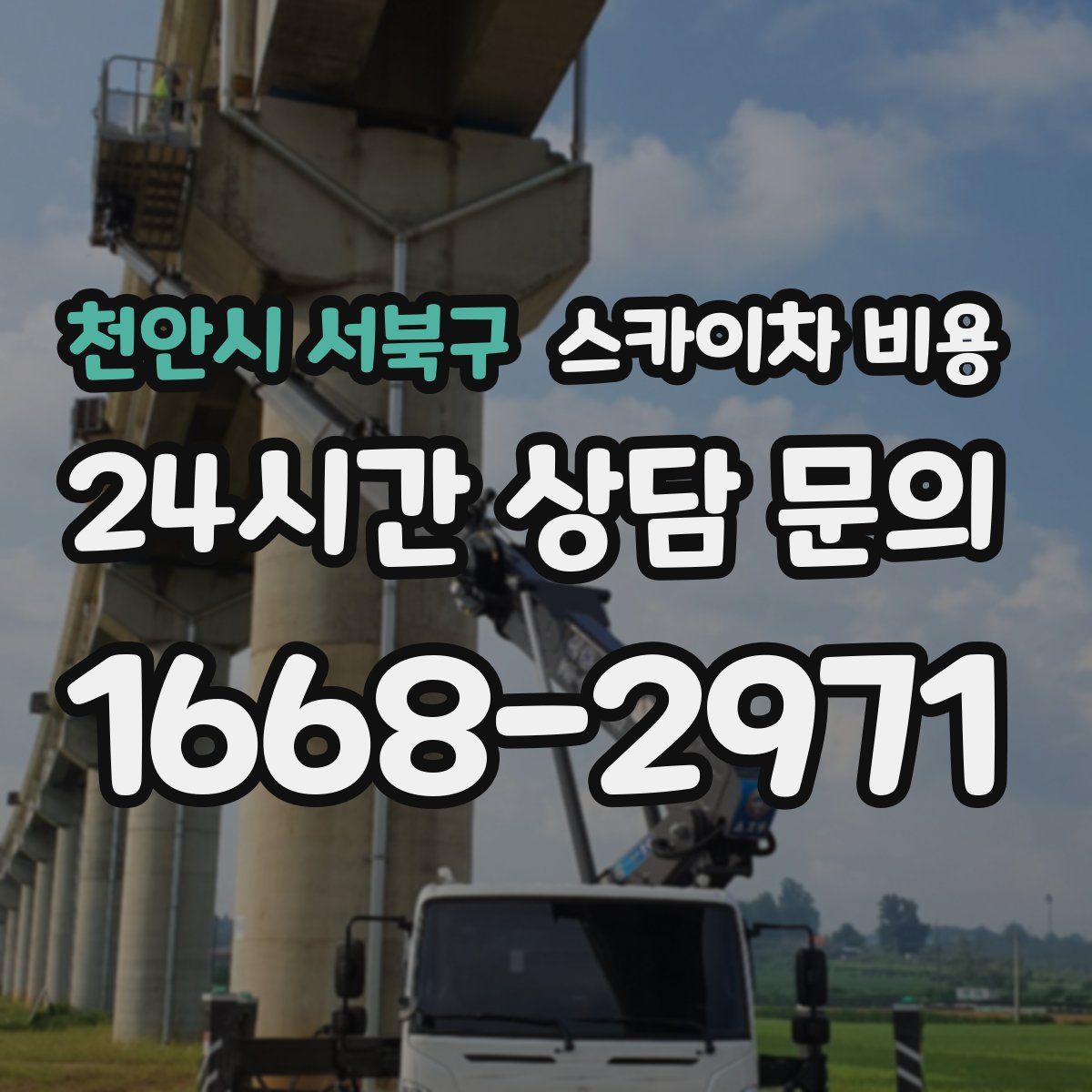 천안시 서북구 스카이차 비용