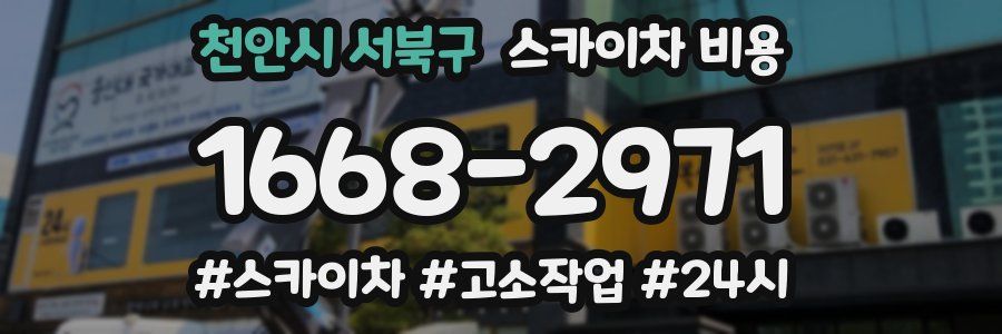 천안시 서북구 스카이차 비용