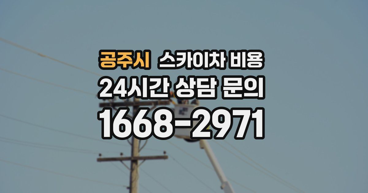 공주시 스카이차 비용