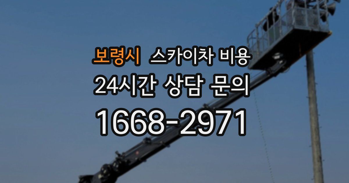 보령시 스카이차 비용