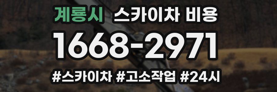 계룡시 스카이차 비용