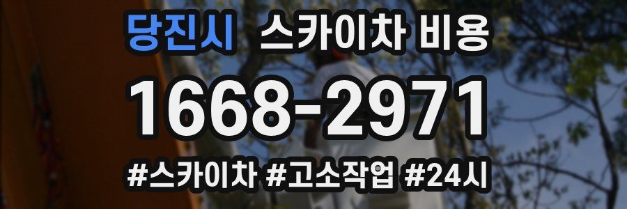 당진시 스카이차 비용