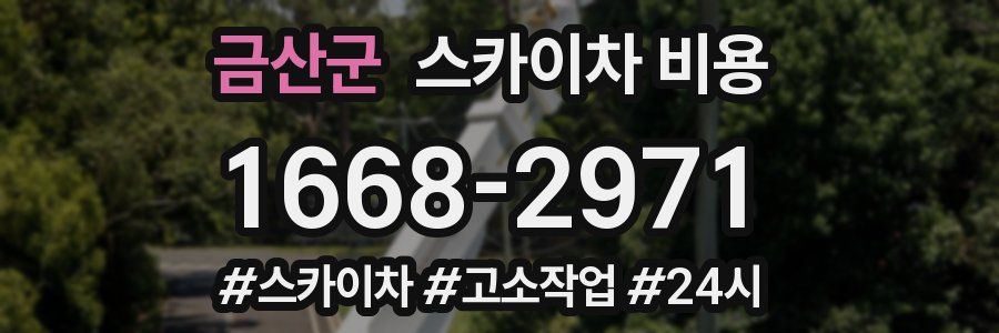 금산군 스카이차 비용