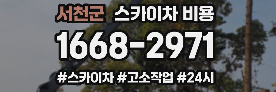 서천군 스카이차 비용