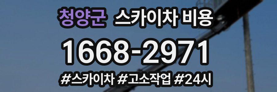 청양군 스카이차 비용