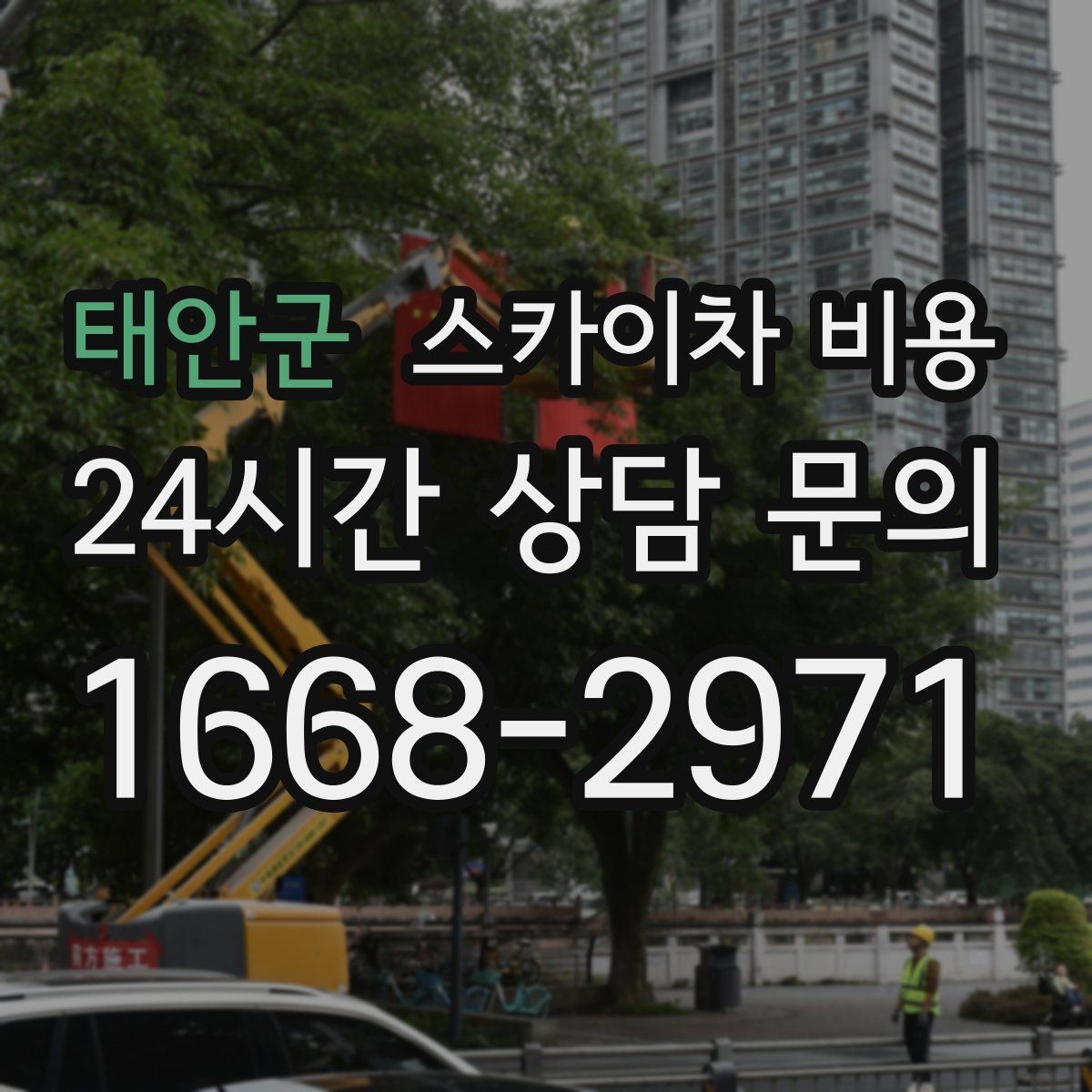 태안군 스카이차 비용 가로수·간판·전선이 동선을 막을 때