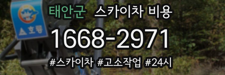 태안군 스카이차 비용