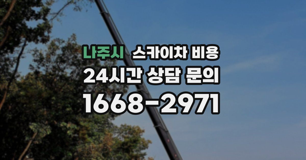 나주시 스카이차 비용