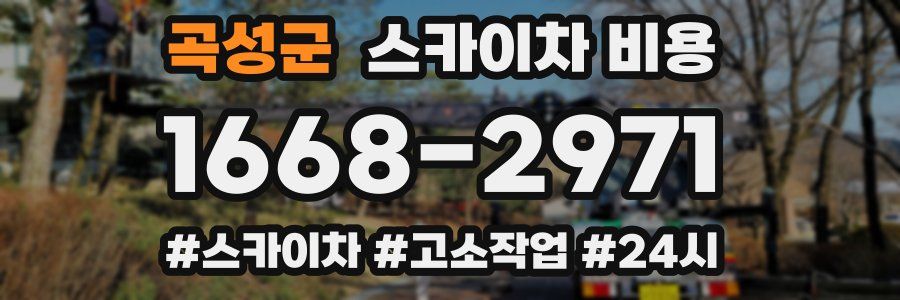 곡성군 스카이차 비용