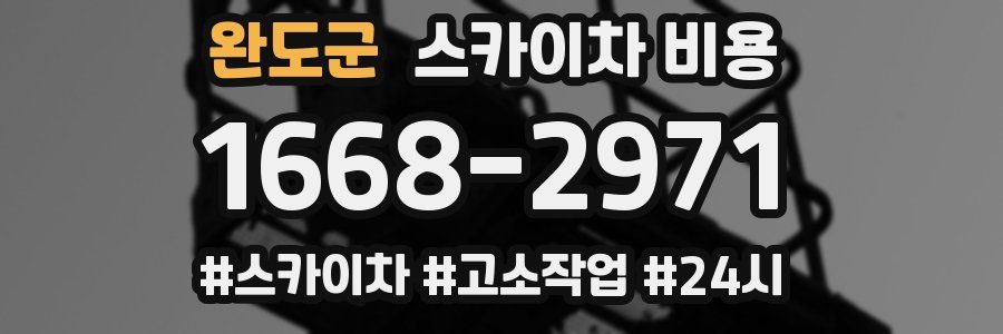 완도군 스카이차 비용