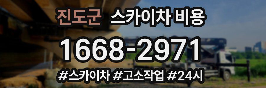 진도군 스카이차 비용