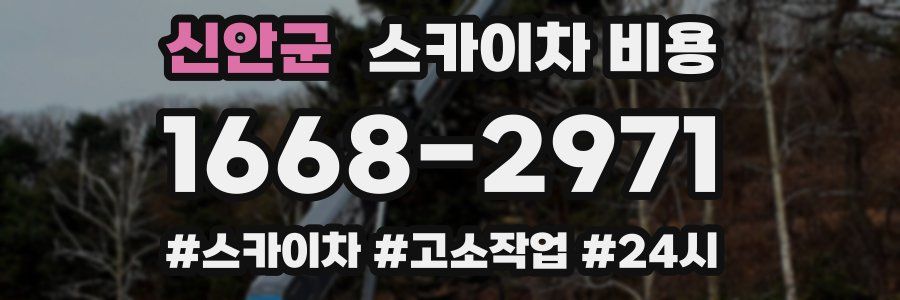 신안군 스카이차 비용
