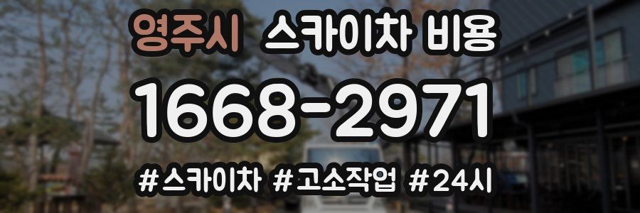 영주시 스카이차 비용