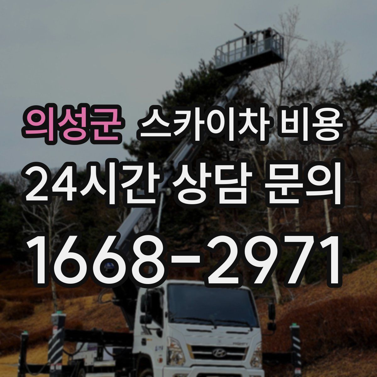 의성군 스카이차 비용