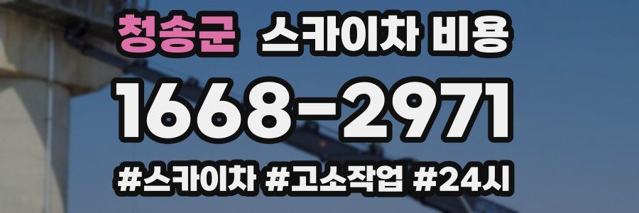 청송군 스카이차 비용