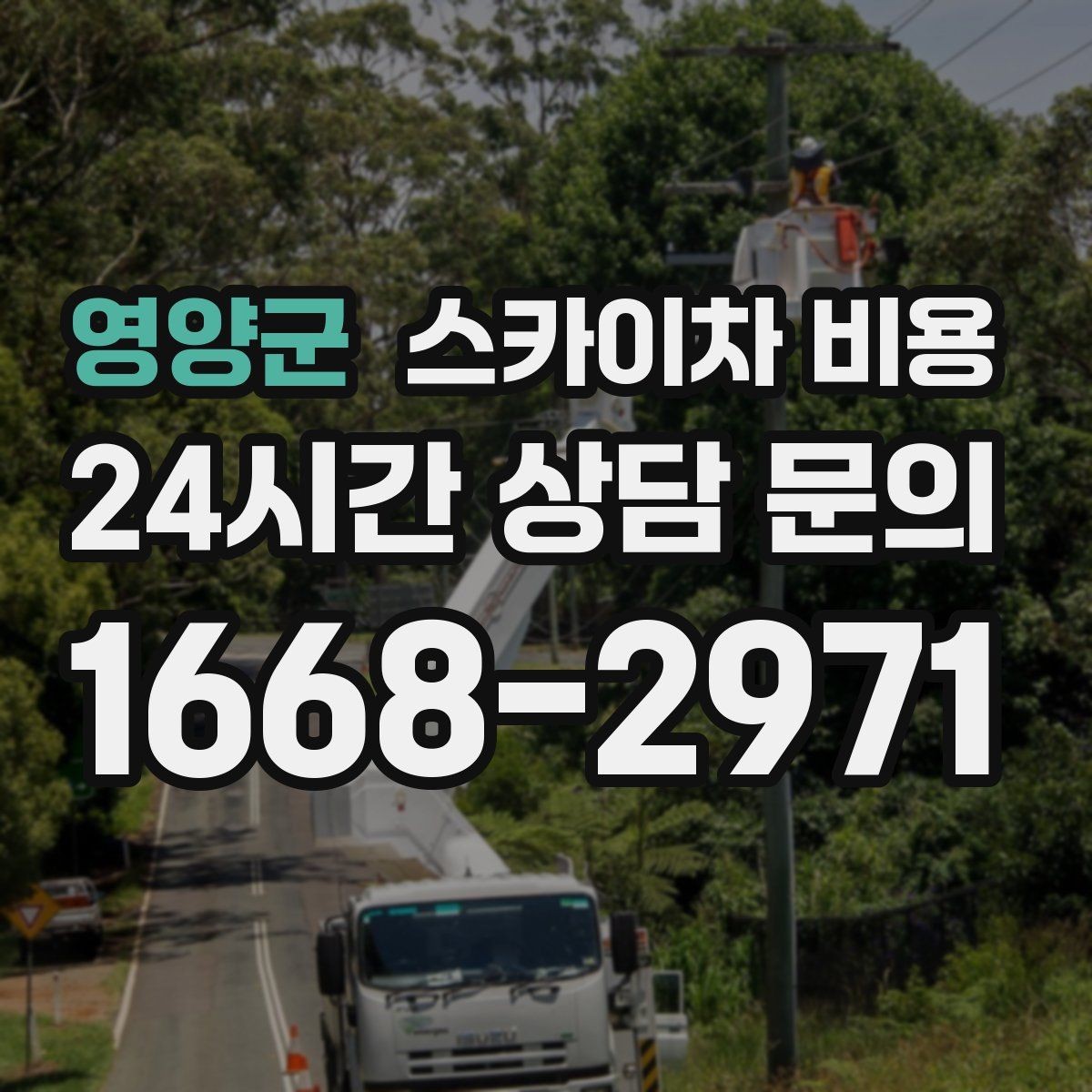 영양군 스카이차 비용 현장 변수가 많을수록 체크해야 할 것