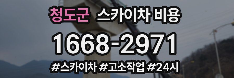 청도군 스카이차 비용