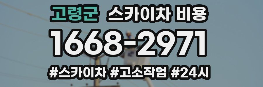 고령군 스카이차 비용