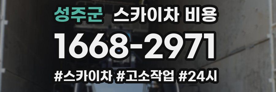 성주군 스카이차 비용
