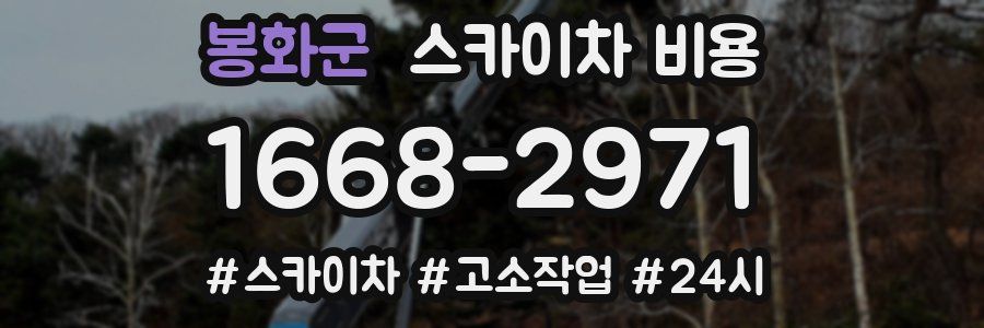 봉화군 스카이차 비용