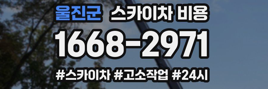 울진군 스카이차 비용