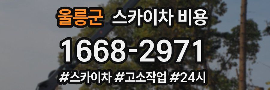 울릉군 스카이차 비용