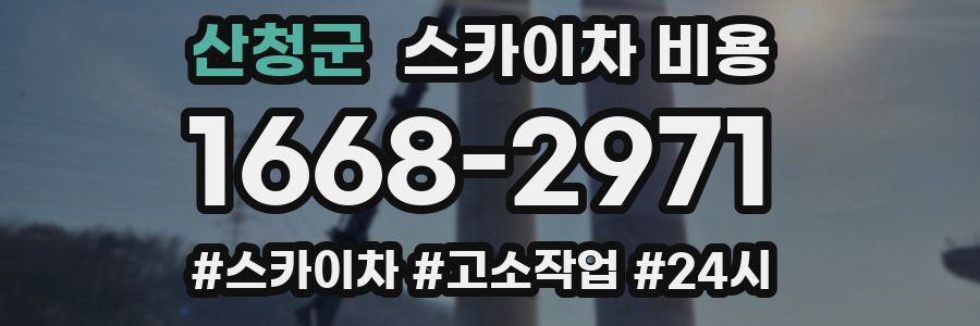 산청군 스카이차 비용