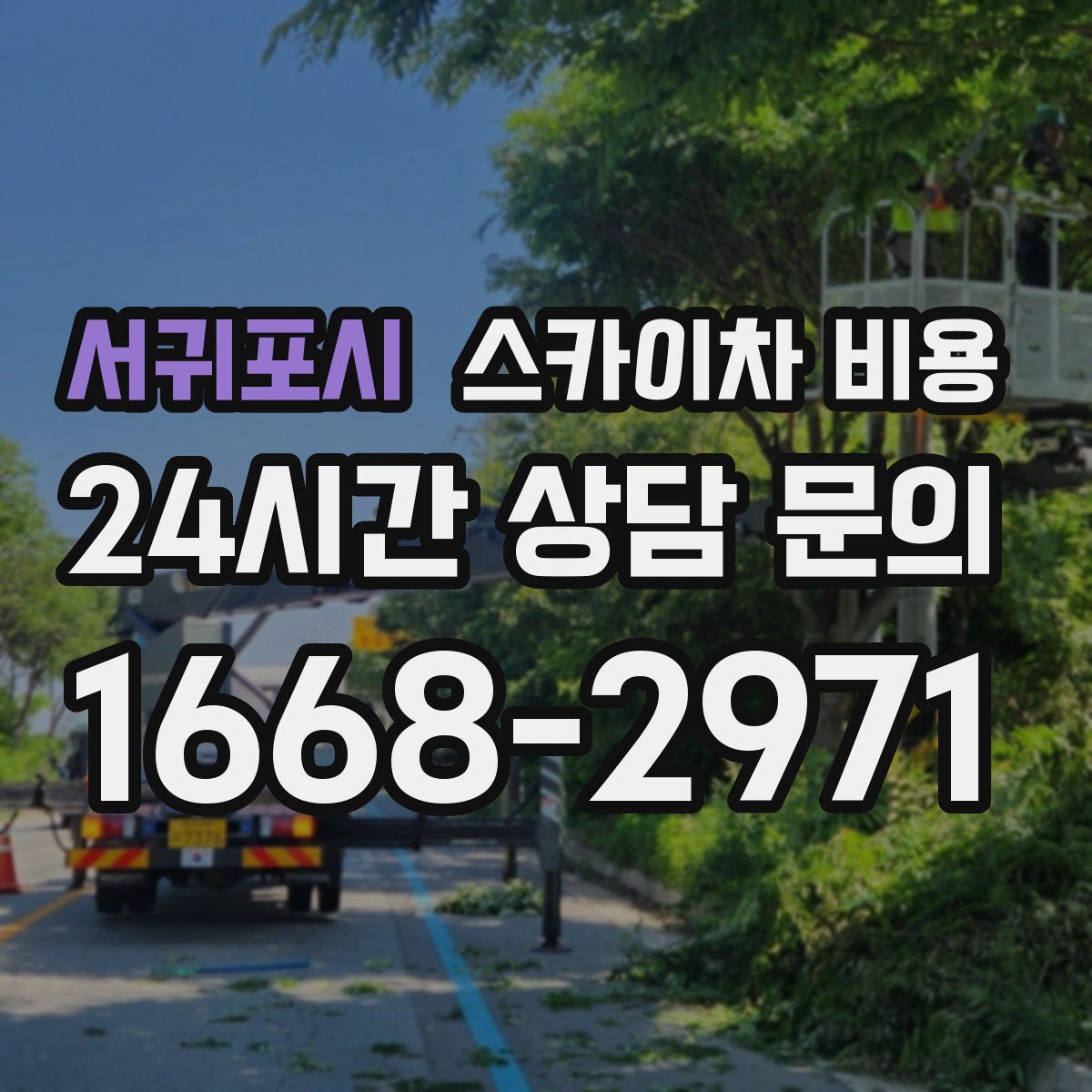 서귀포시 스카이차 비용