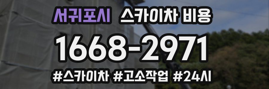 서귀포시 스카이차 비용