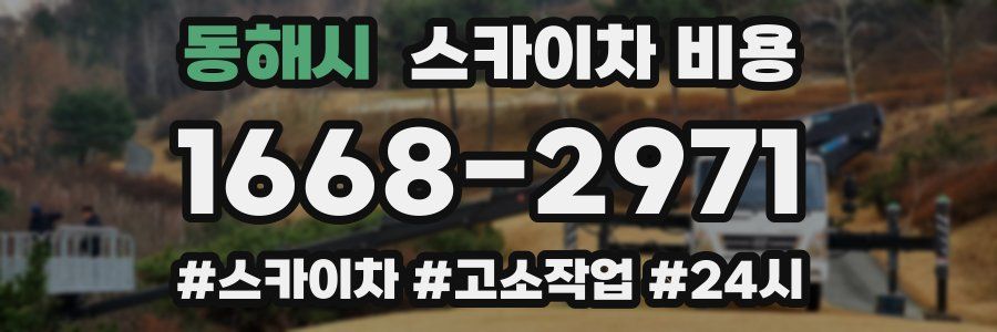 동해시 스카이차 비용