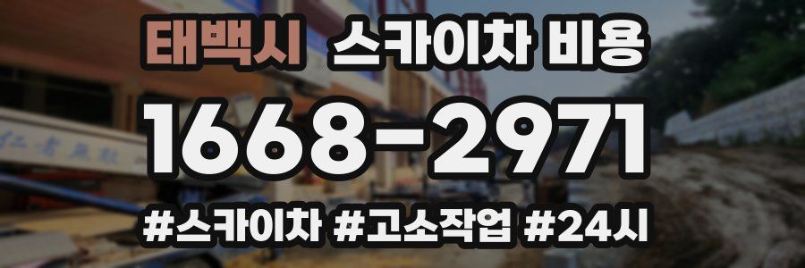 태백시 스카이차 비용