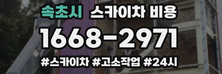 속초시 스카이차 비용