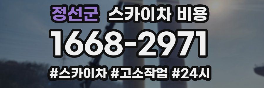 정선군 스카이차 비용