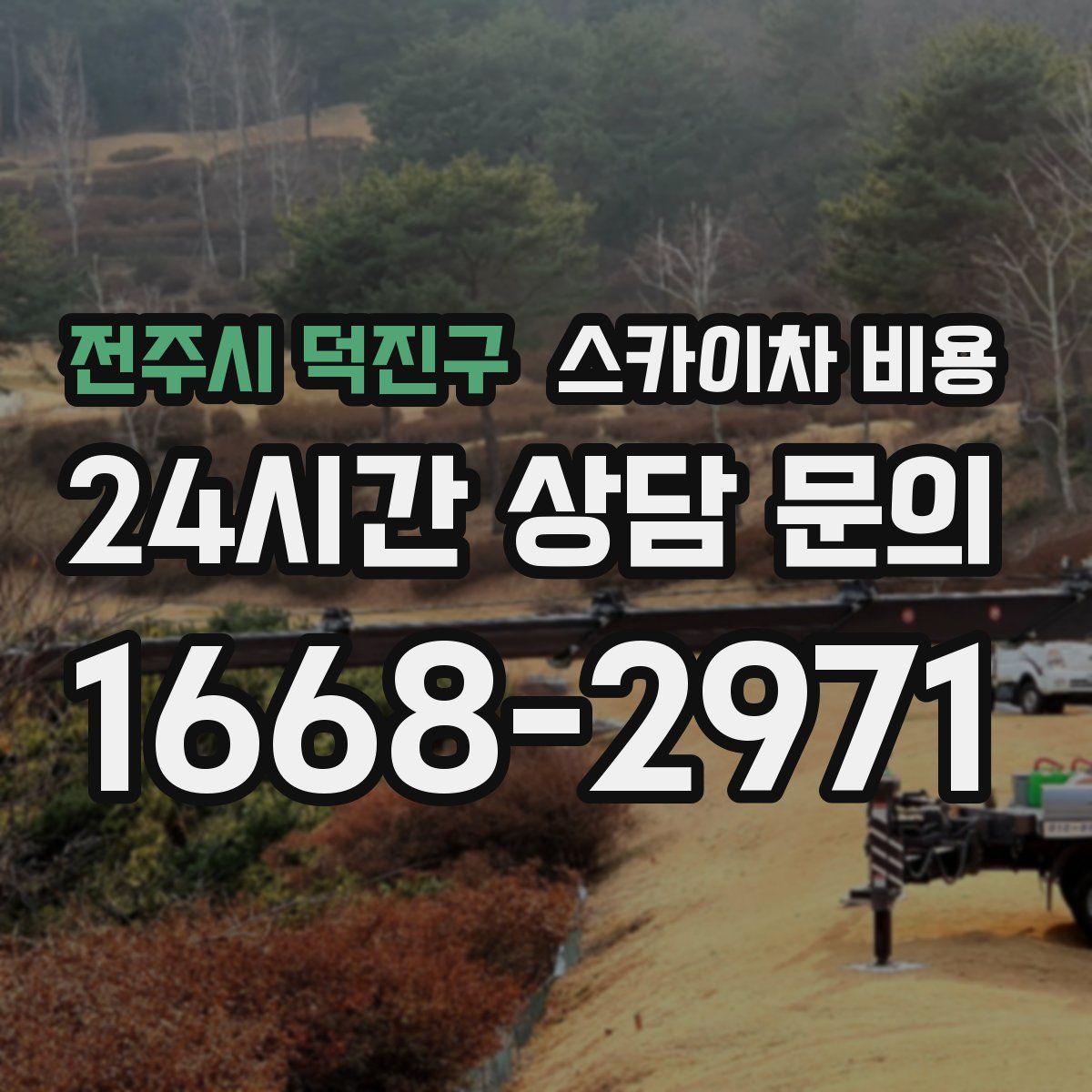 전주시 덕진구 스카이차 비용