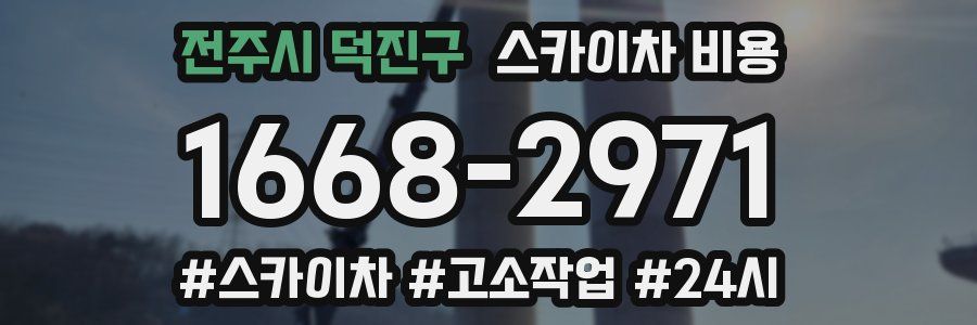 전주시 덕진구 스카이차 비용