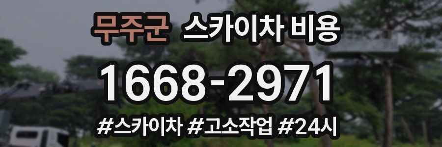 무주군 스카이차 비용