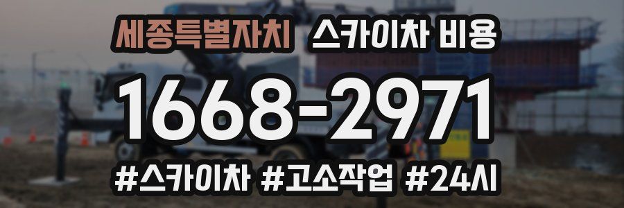 세종특별자치 스카이차 비용