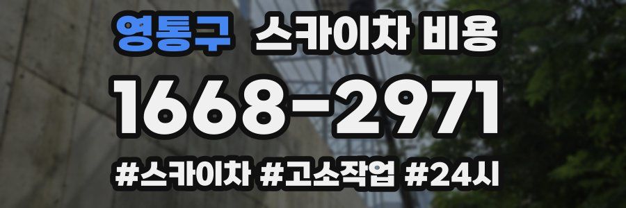 영통구 스카이차 비용