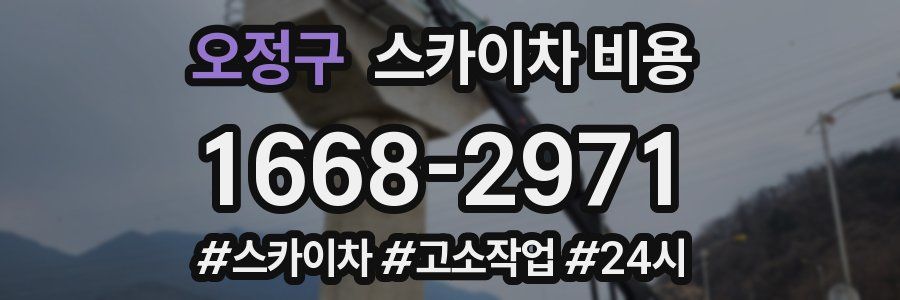 오정구 스카이차 비용