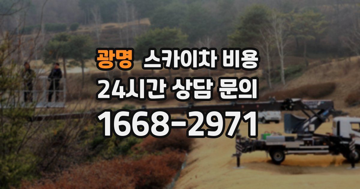 광명 스카이차 비용