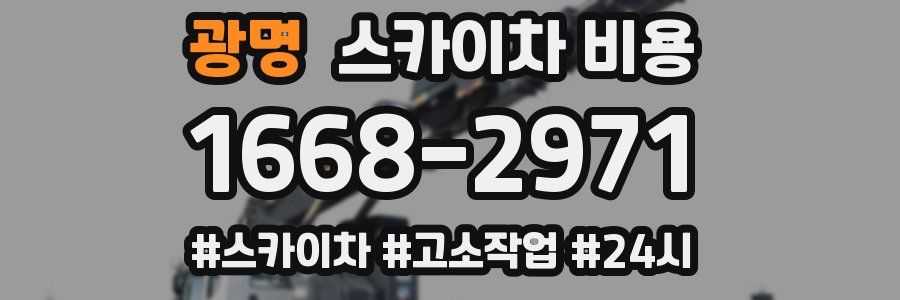 광명 스카이차 비용