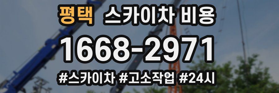 평택 스카이차 비용